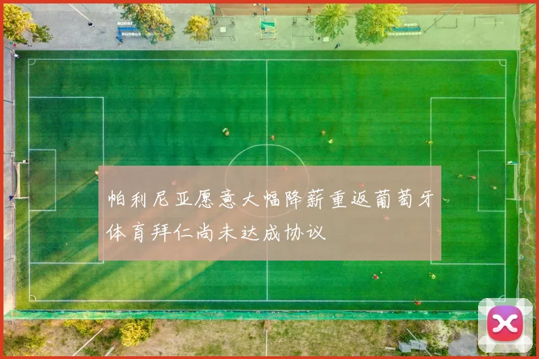 帕利尼亚愿意大幅降薪重返葡萄牙体育拜仁尚未达成协议
