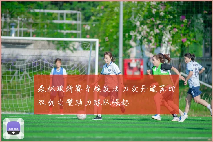 森林狼新赛季焕发活力麦丹道苏姆双剑合璧助力球队崛起